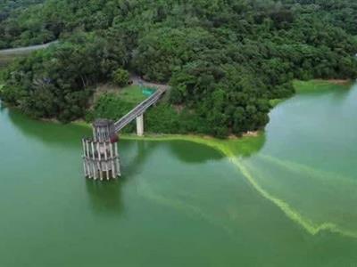 Realizarán trabajos de limpieza en cola de la presa de Hatillo