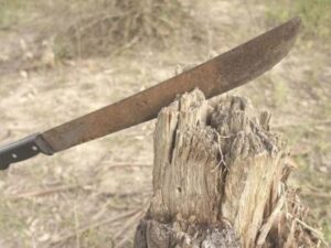 Identifican a un haitiano como presunto homicida de un hacendado