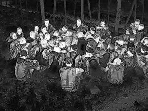 El Ejército somete 256 personas por tráfico de indocumentados