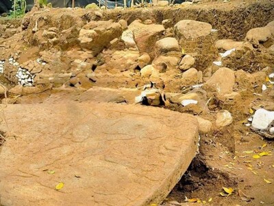Hallazgo arqueológico en Veracruz: escultura y restos de cultura maya
