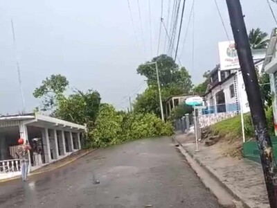 Tornado en Loma de Cabrera causa daños y árboles caídos