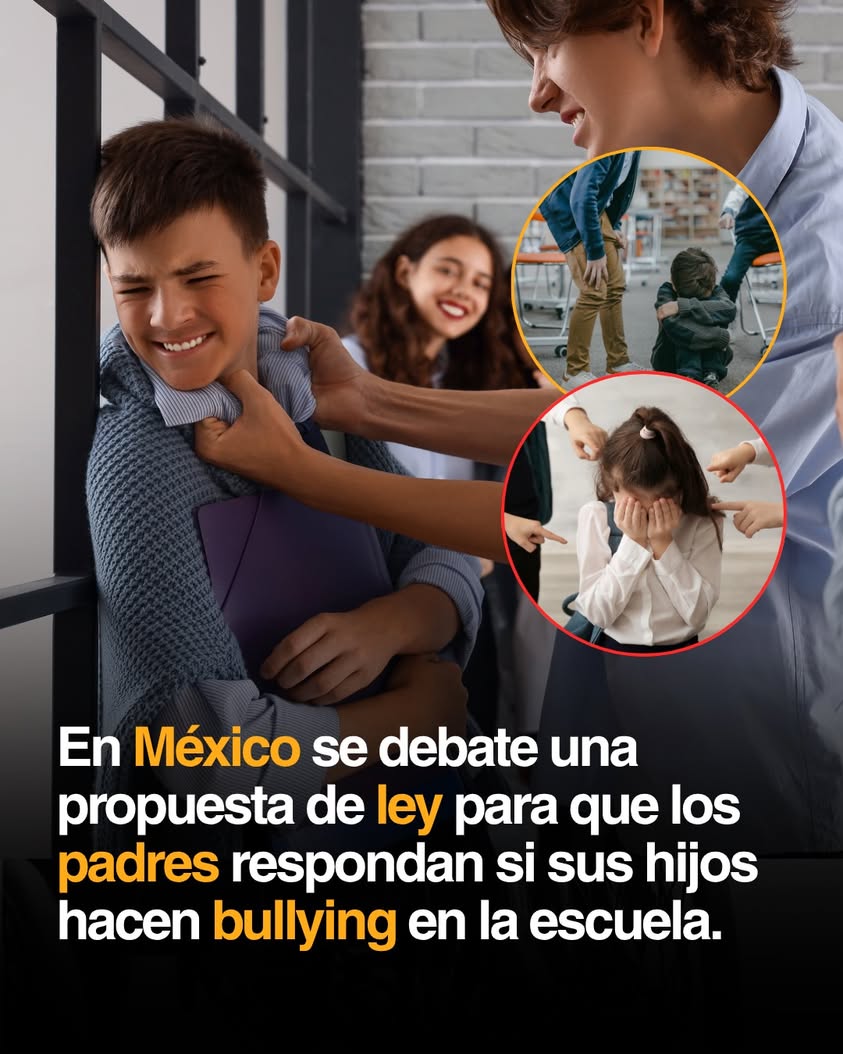 ⚖️ EN MÉXICO SE DEBATE UNA PROPUESTA: QUE LOS PADRES RESPONDAN SI SUS HIJOS HACEN BULLYING El bullying dejó de ser "cosa...