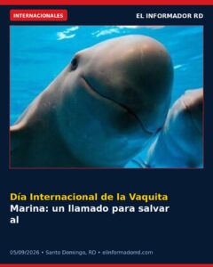 Día Internacional de la Vaquita Marina: un llamado para salvar al mamífero marino más amenazado del mundo