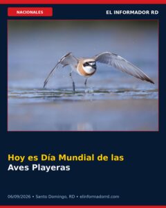 Hoy es Día Mundial de las Aves Playeras